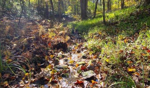 Photo #15 of CASTLETON VIEW ROAD, CASTLETON, VA 25.2 acres