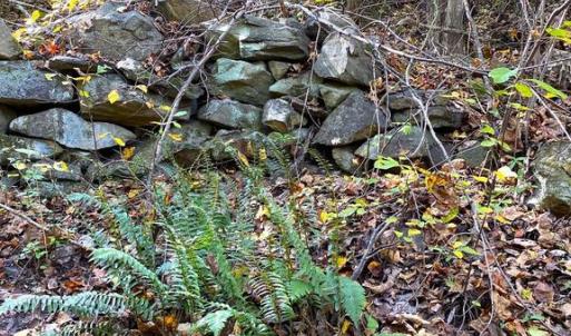 Photo #17 of CASTLETON VIEW ROAD, CASTLETON, VA 25.2 acres