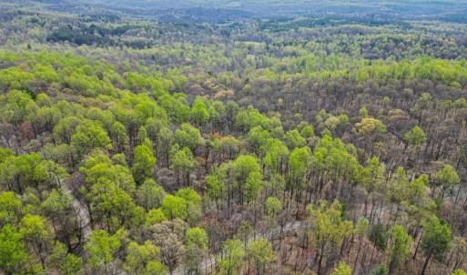 Photo #4 of CASTLETON VIEW ROAD, CASTLETON, VA 25.2 acres