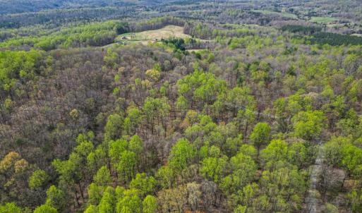 Photo #9 of CASTLETON VIEW ROAD, CASTLETON, VA 25.2 acres