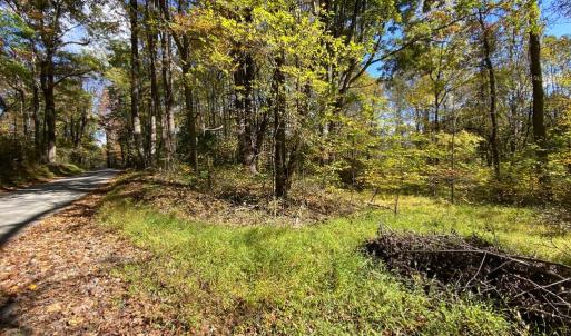 Photo #32 of CASTLETON VIEW ROAD, CASTLETON, VA 25.2 acres