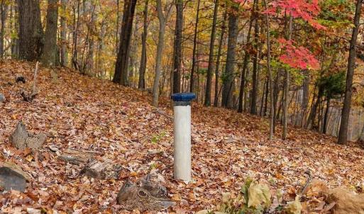 Photo #2 of TREEHOUSE PL, NELLYSFORD, VA 10.0 acres