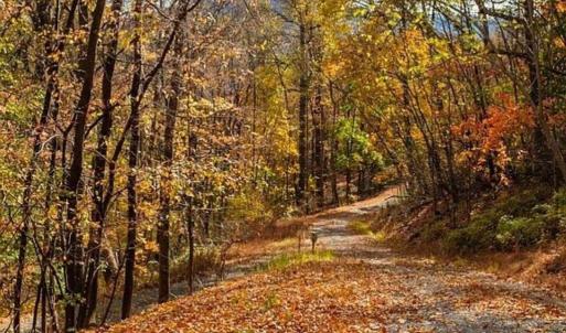 Photo #4 of TREEHOUSE PL, NELLYSFORD, VA 10.0 acres