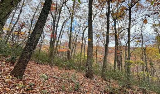 Photo #5 of TREEHOUSE PL, NELLYSFORD, VA 10.0 acres
