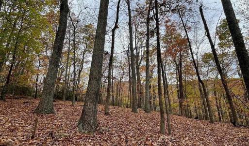 Photo #9 of TREEHOUSE PL, NELLYSFORD, VA 10.0 acres