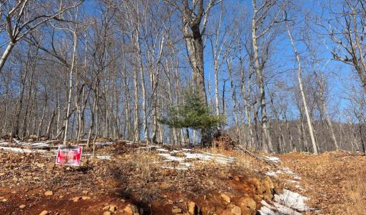 Photo #1 of TREEHOUSE PL, NELLYSFORD, VA 10.0 acres