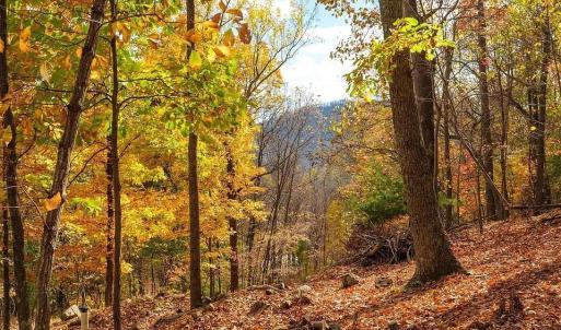 Photo #1 of TREEHOUSE PL, NELLYSFORD, VA 10.0 acres