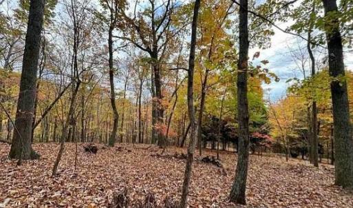 Photo #5 of TREEHOUSE PL, NELLYSFORD, VA 10.0 acres