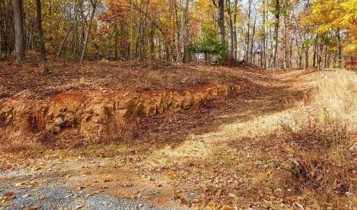 Photo #7 of TREEHOUSE PL, NELLYSFORD, VA 10.0 acres