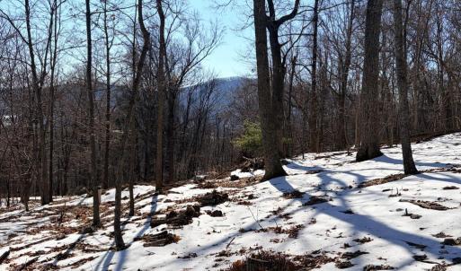 Photo #8 of TREEHOUSE PL, NELLYSFORD, VA 10.0 acres