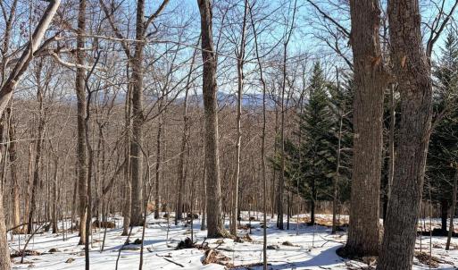 Photo #9 of TREEHOUSE PL, NELLYSFORD, VA 10.0 acres