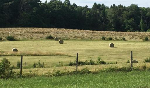 Photo #8 of 11175 MARQUIS RD, UNIONVILLE, VA 10.2 acres