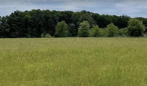 Photo #5 of 11175 MARQUIS RD, UNIONVILLE, VA 10.2 acres