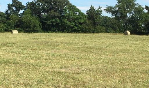 Photo #6 of 11175 MARQUIS RD, UNIONVILLE, VA 10.2 acres