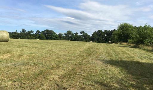 Photo #10 of 11175 MARQUIS RD, UNIONVILLE, VA 10.2 acres