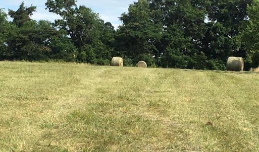 Photo #9 of 11175 MARQUIS RD, UNIONVILLE, VA 10.2 acres