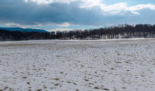 Photo #23 of GOOD MILL RD, RILEYVILLE, VA 6.0 acres