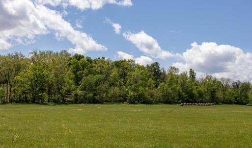 Photo #48 of GOOD MILL RD, RILEYVILLE, VA 6.0 acres