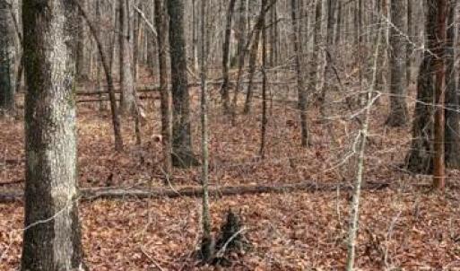Photo #2 of MOUNTAIN TRACK RD, ORANGE, VA 32.0 acres