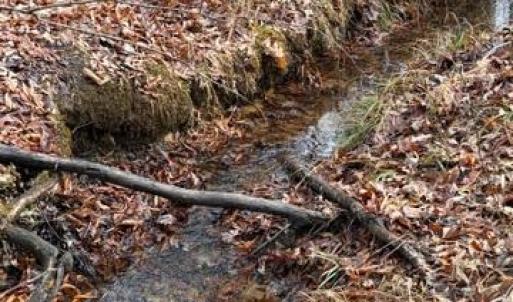 Photo #5 of MOUNTAIN TRACK RD, ORANGE, VA 32.0 acres