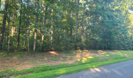 Photo #1 of 20 HARNESS LN, LOUISA, VA 3.0 acres