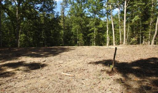 Photo #9 of 465 EQUESTRIAN LANDING TRL, BUMPASS, VA 5.1 acres