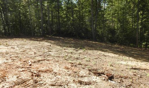 Photo #11 of 465 EQUESTRIAN LANDING TRL, BUMPASS, VA 5.1 acres