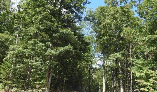 Photo #6 of 465 EQUESTRIAN LANDING TRL, BUMPASS, VA 5.1 acres