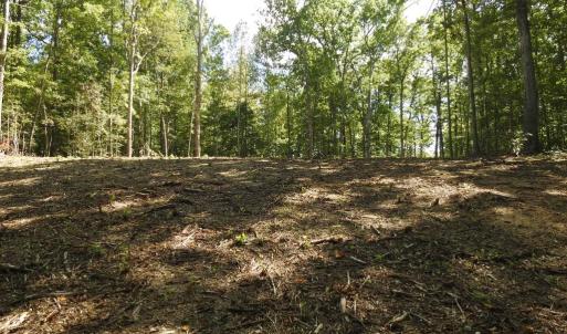 Photo #14 of 465 EQUESTRIAN LANDING TRL, BUMPASS, VA 5.1 acres