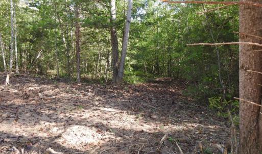 Photo #7 of 541 EQUESTRIAN LANDING TRL, BUMPASS, VA 5.1 acres