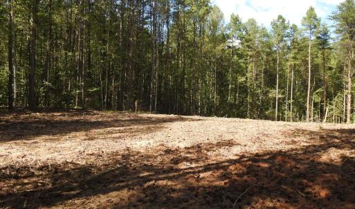 Photo #8 of 541 EQUESTRIAN LANDING TRL, BUMPASS, VA 5.1 acres