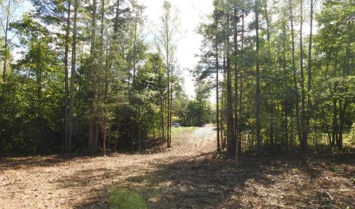 Photo #12 of 541 EQUESTRIAN LANDING TRL, BUMPASS, VA 5.1 acres