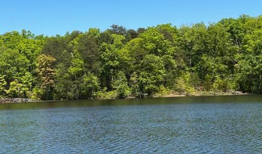 Photo #2 of ELK RUN, BEALETON, VA 36.7 acres
