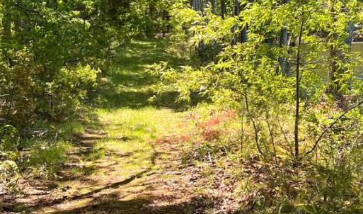 Photo #3 of ELK RUN, BEALETON, VA 36.7 acres