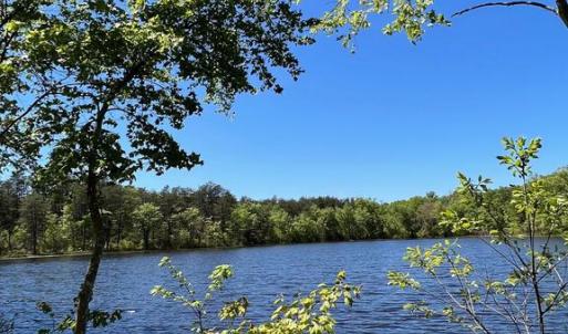 Photo #1 of ELK RUN, BEALETON, VA 36.7 acres