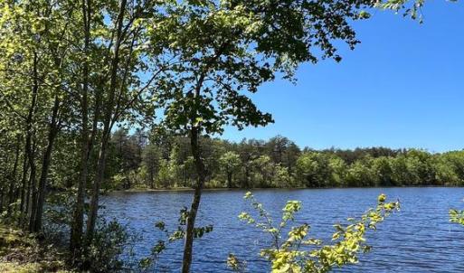 Photo #4 of ELK RUN, BEALETON, VA 36.7 acres