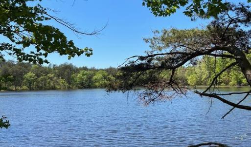 Photo #6 of ELK RUN, BEALETON, VA 36.7 acres