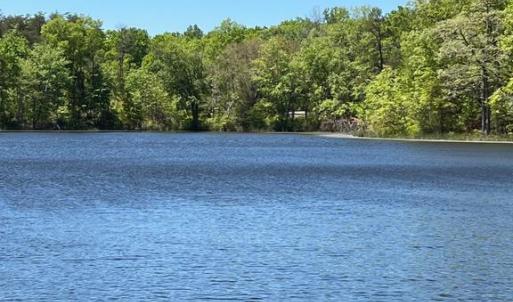 Photo #7 of ELK RUN, BEALETON, VA 36.7 acres