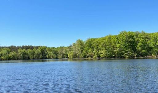 Photo #8 of ELK RUN, BEALETON, VA 36.7 acres