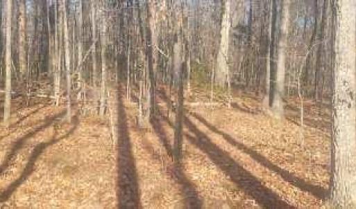 Photo #3 of SHELTON LN, MINERAL, VA 44.4 acres