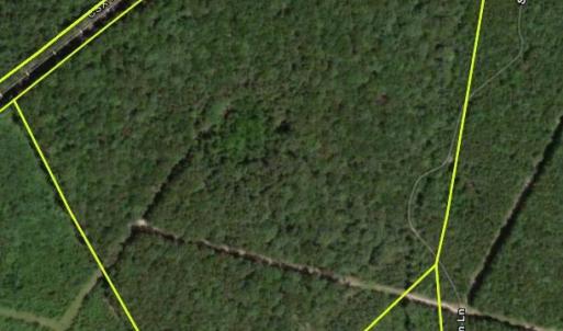 Photo #1 of SHELTON LN, MINERAL, VA 44.4 acres