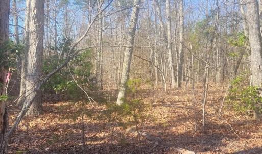 Photo #6 of SHELTON LN, MINERAL, VA 44.4 acres