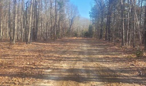 Photo #7 of SHELTON LN, MINERAL, VA 44.4 acres