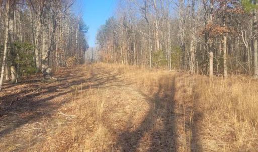 Photo #8 of SHELTON LN, MINERAL, VA 44.4 acres