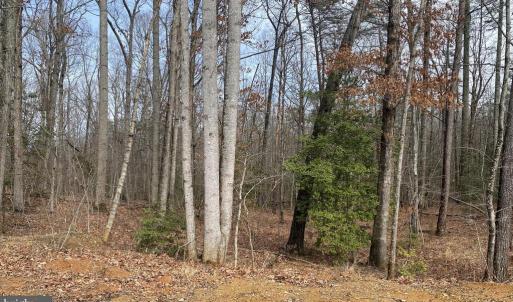 Photo #1 of CHOPPING RD, MINERAL, VA 5.0 acres