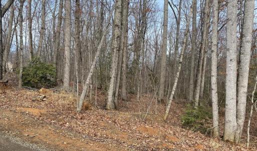 Photo #2 of CHOPPING RD, MINERAL, VA 5.0 acres