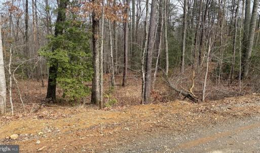 Photo #3 of CHOPPING RD, MINERAL, VA 5.0 acres