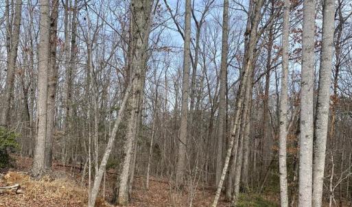 Photo #4 of CHOPPING RD, MINERAL, VA 5.0 acres