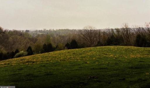 Photo #13 of 5 SPERRYVILLE PIKE, BOSTON, VA 5.0 acres