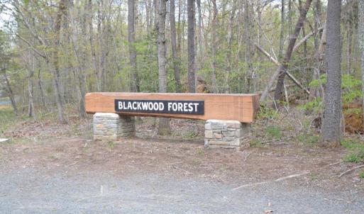 Photo #6 of 13220 BLACKWOOD FOREST DR, GOLDVEIN, VA 10.9 acres